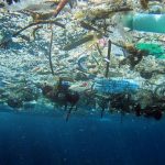 La zuppa di plastica Mediterranea