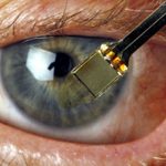 Topolini tornano a vedere grazie alla retina artificiale