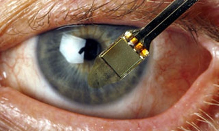 Topolini tornano a vedere grazie alla retina artificiale